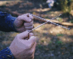 Remote dowsing services